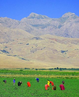 Villagers farming in northern Mesopotamia
