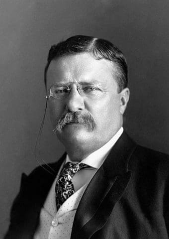 Theodore-Roosevelt-around-1904