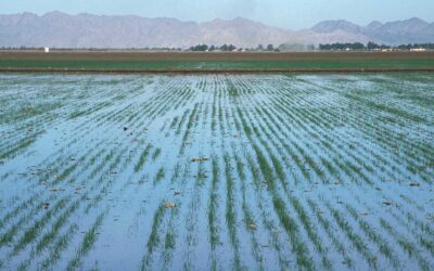 How did early civilization spread beyond the river valleys?